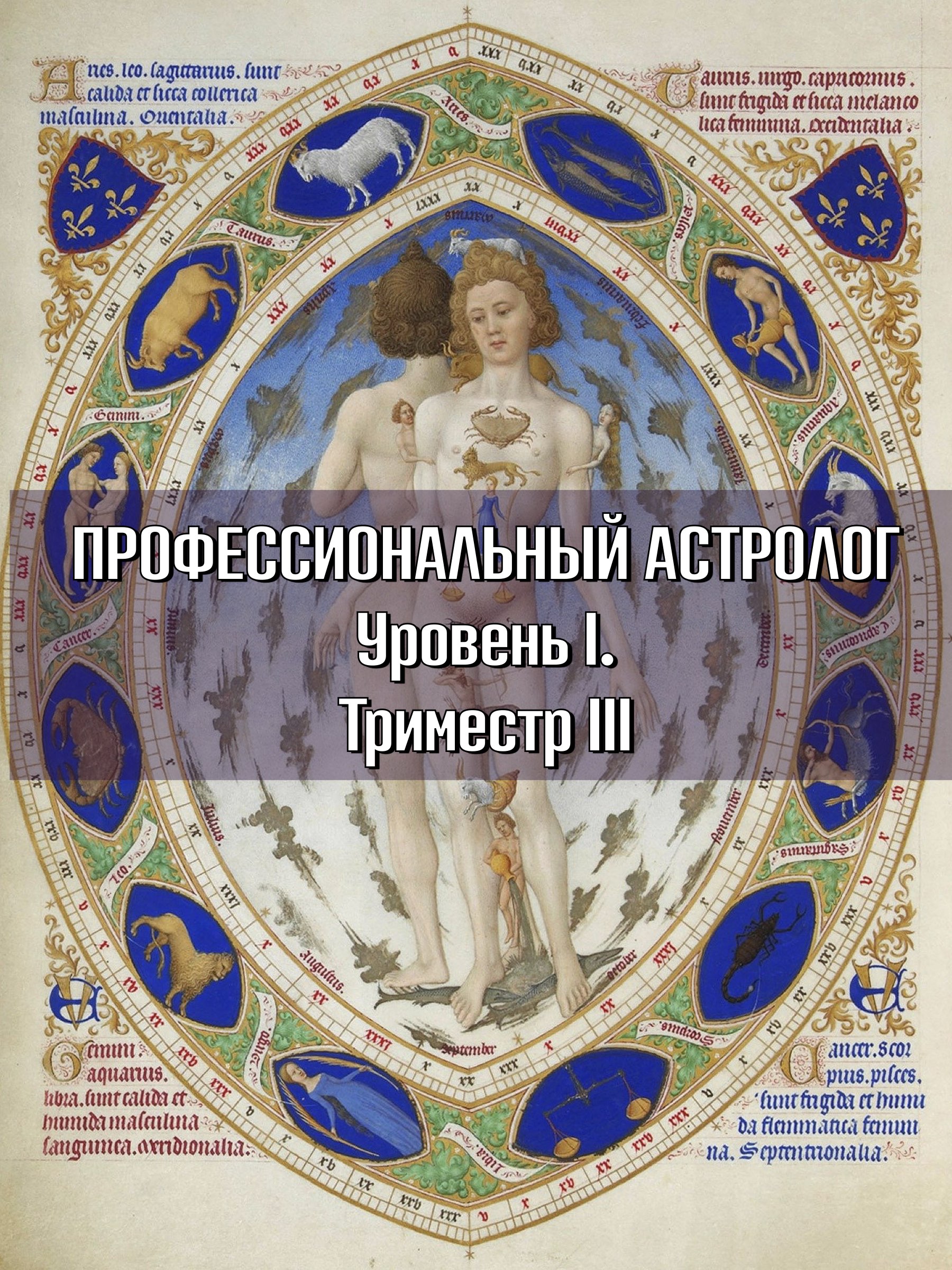 Professional Astrologer. Level I — III триместр (8.04.23 — 1.07.23) | ISOMA