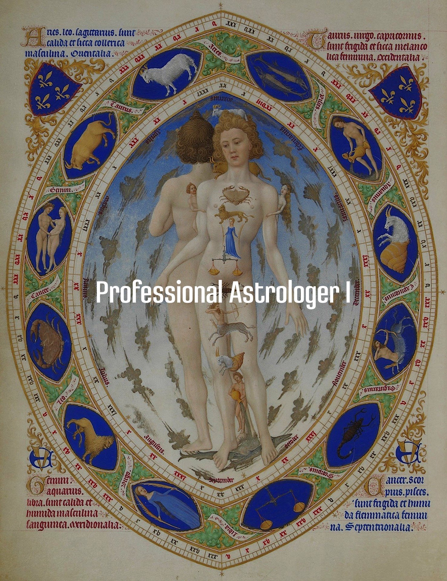 Professional Astrologer I. Символический язык и системы координат в астрологии Нового времени. Планеты, знаки зодиака и дома в астрологии