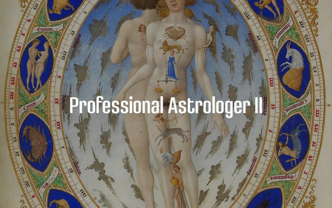 Professional Astrologer II. Анализ и синтез в современной натальной астрологии