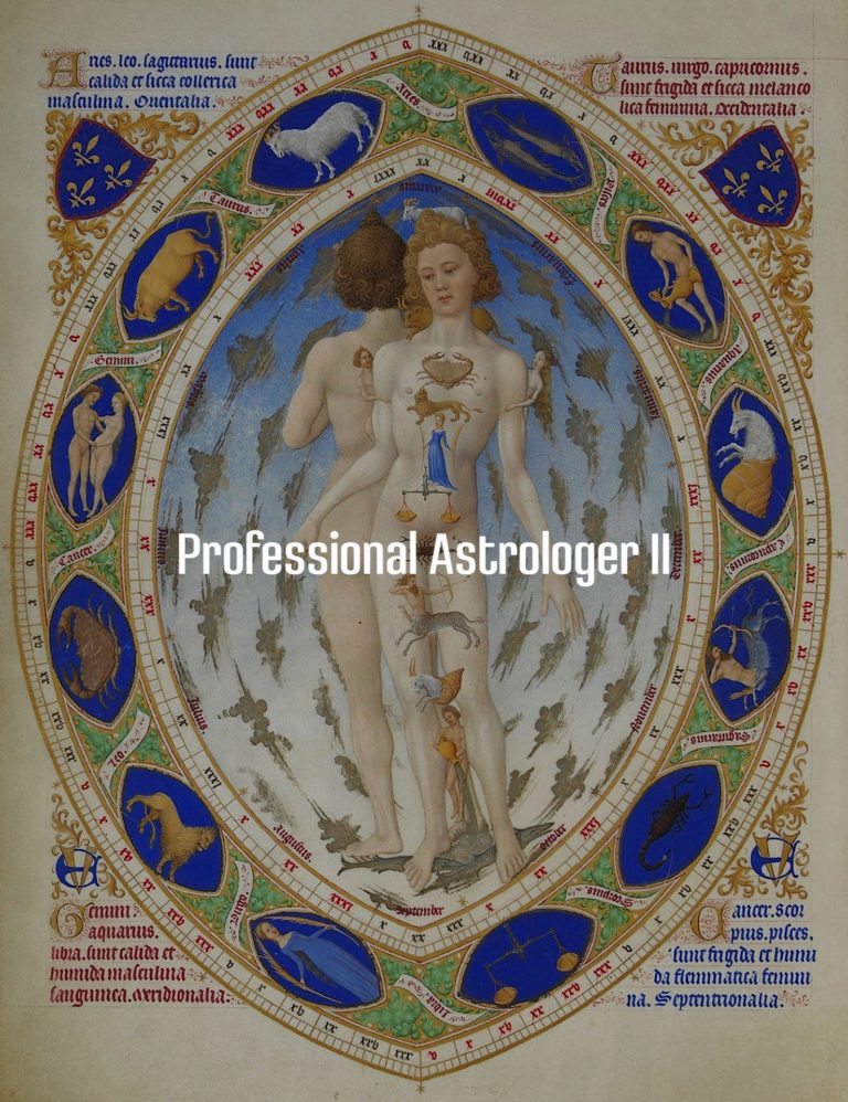 Professional Astrologer II. Анализ и синтез в современной натальной астрологии